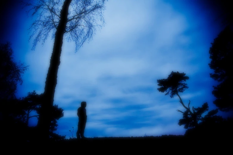 man standing next to tree looking up at clouds