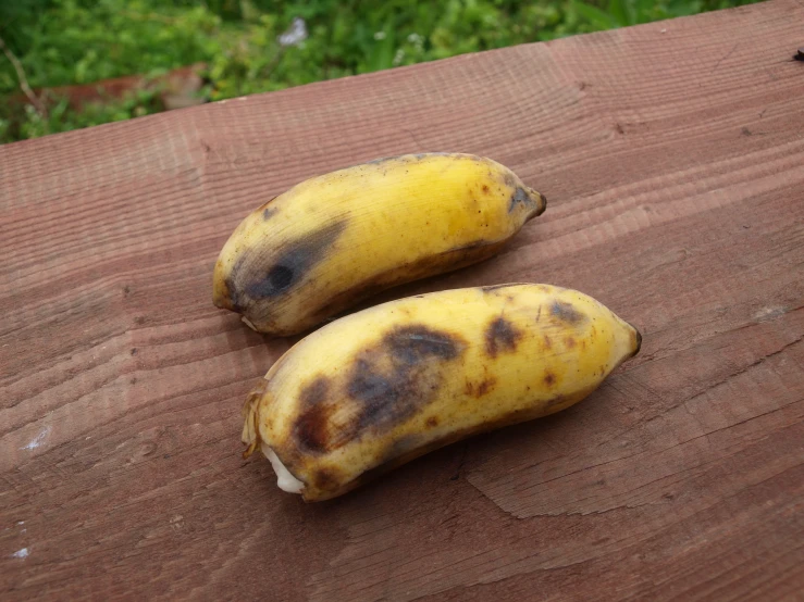 the two bananas are left on a picnic table