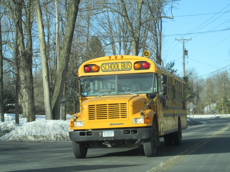 a yellow school bus driving on the street