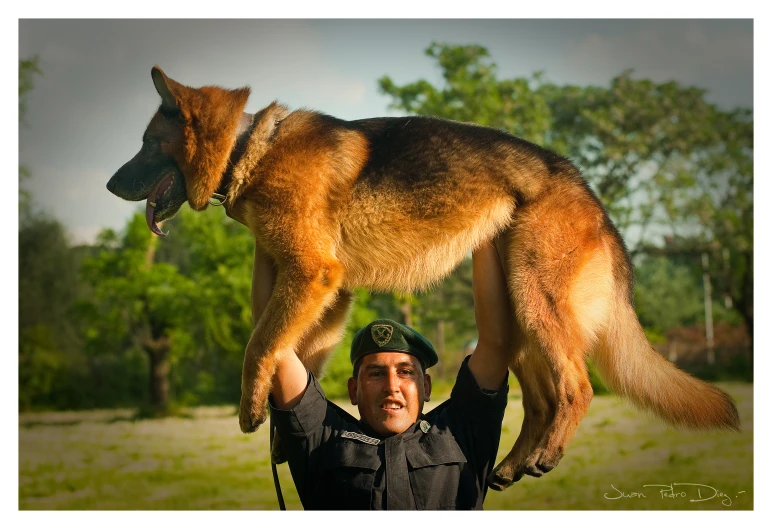 a man holding a dog while standing on his shoulders