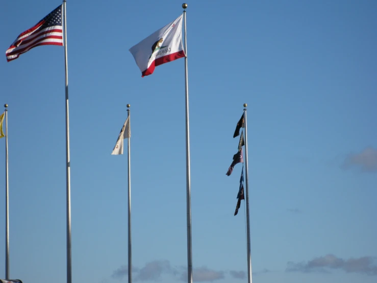 flags flying in the wind in a city