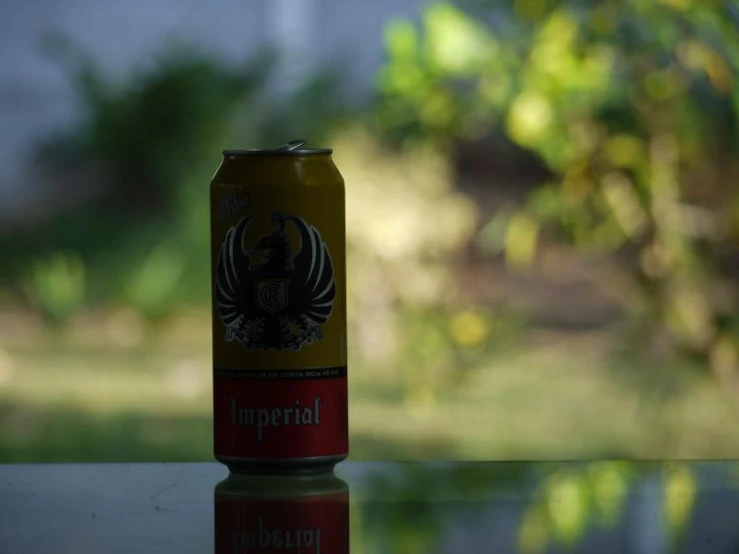 a bright yellow, red and black can of beer