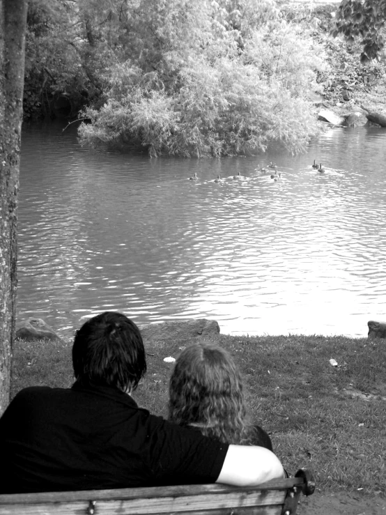 two people sitting on a bench watching ducks swim