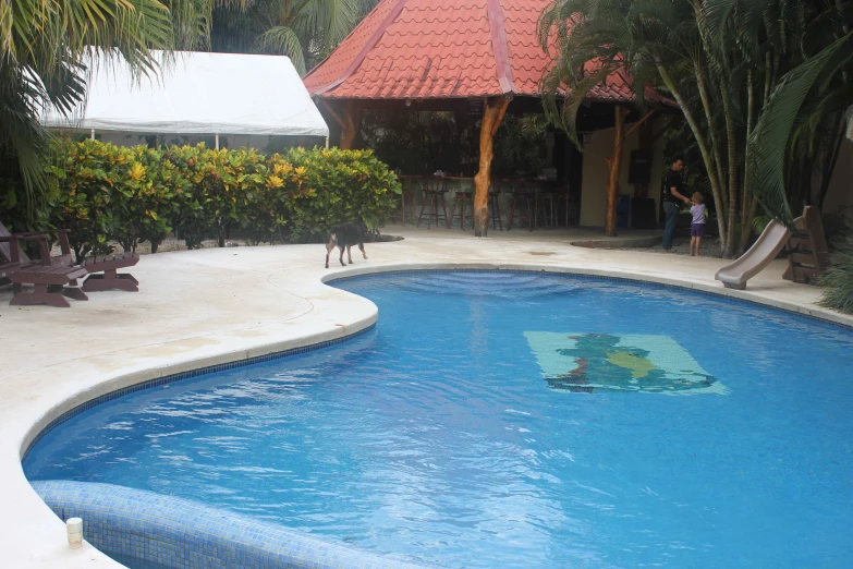 an empty swimming pool with a trampoline slide next to it