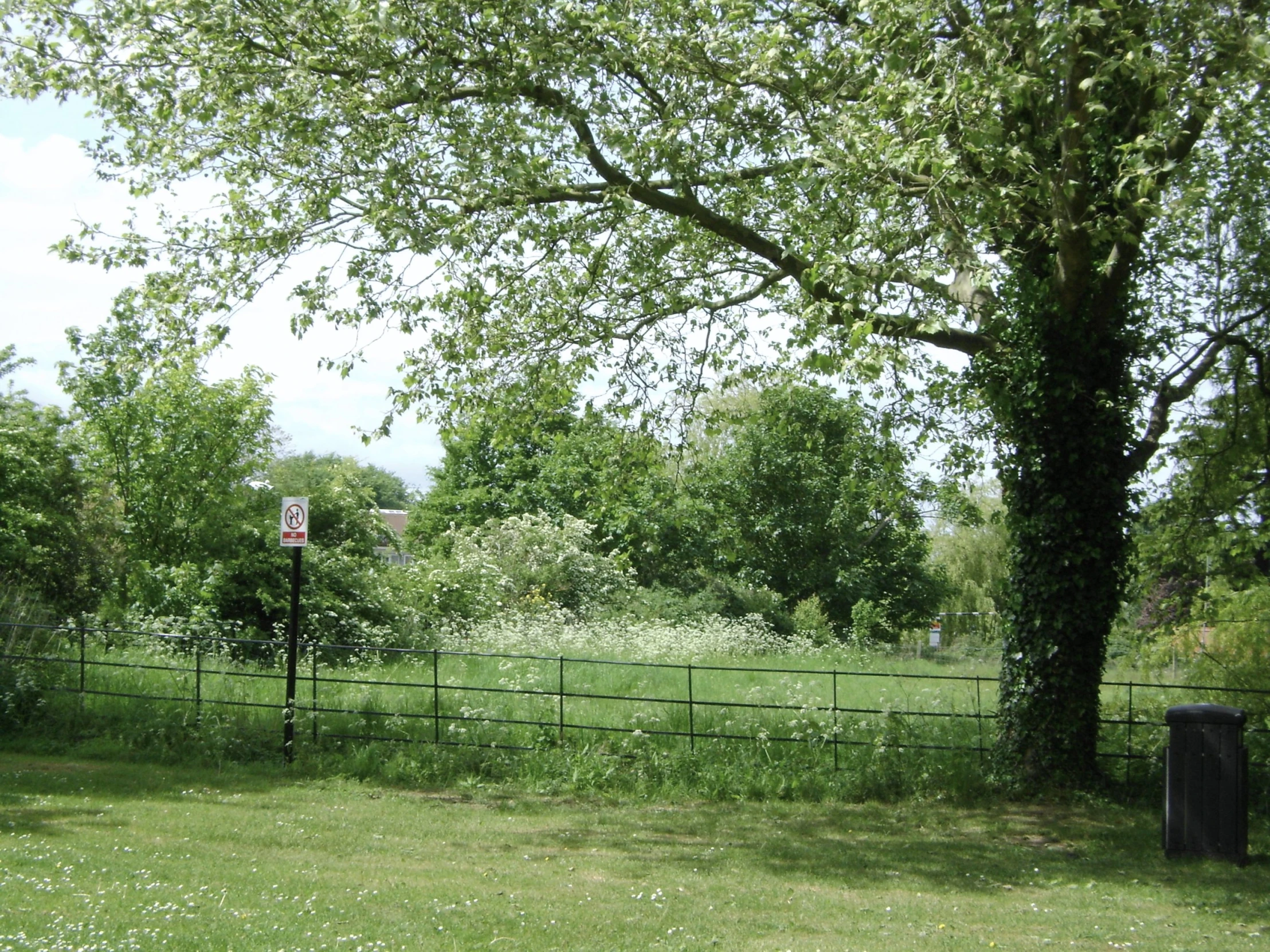 a field with a fence, bushes and a forest in the background