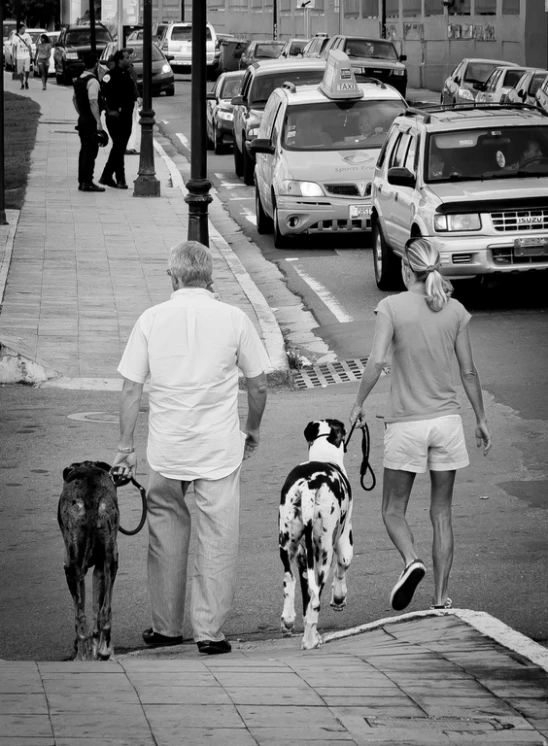 a man and a woman walking two dogs down the street