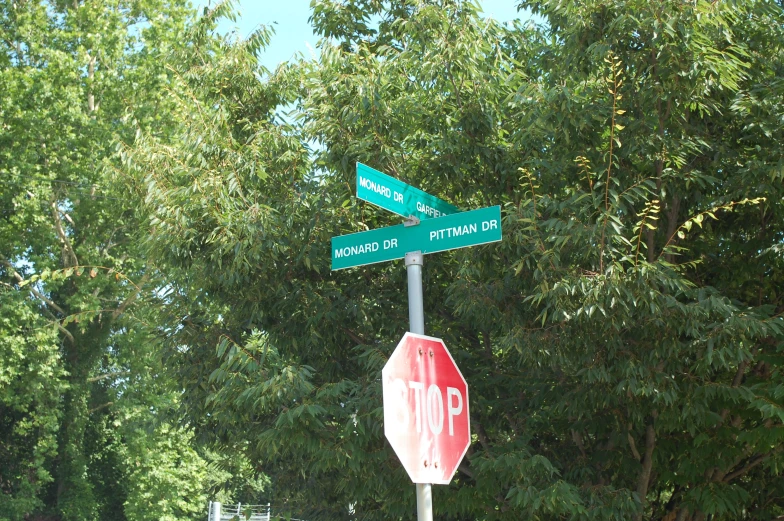 two green street signs on top of a red stop sign