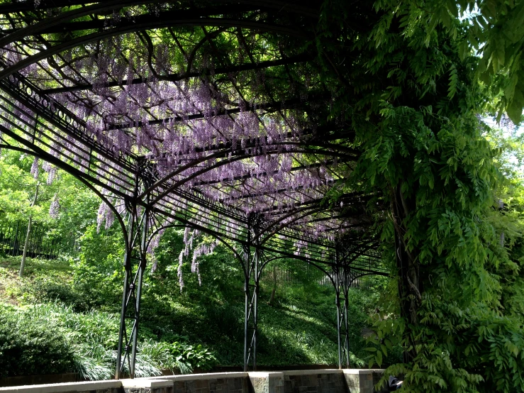 a group of people sitting on a bench under an arbor