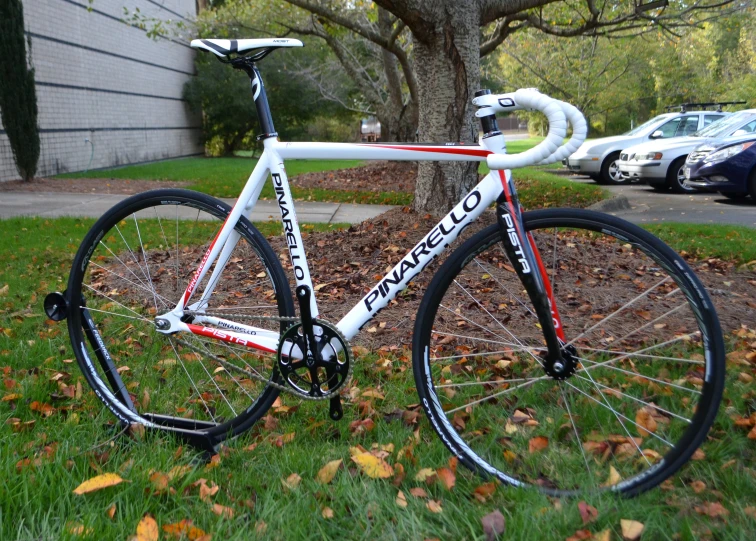 a bicycle parked outside on the grass by a tree