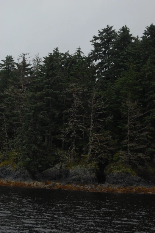 the boats are traveling along the coast near the forest