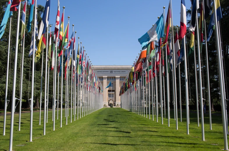 a large field filled with lots of flags