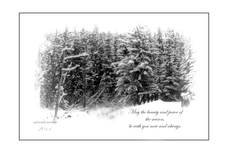 some snow and trees with the words in a frame