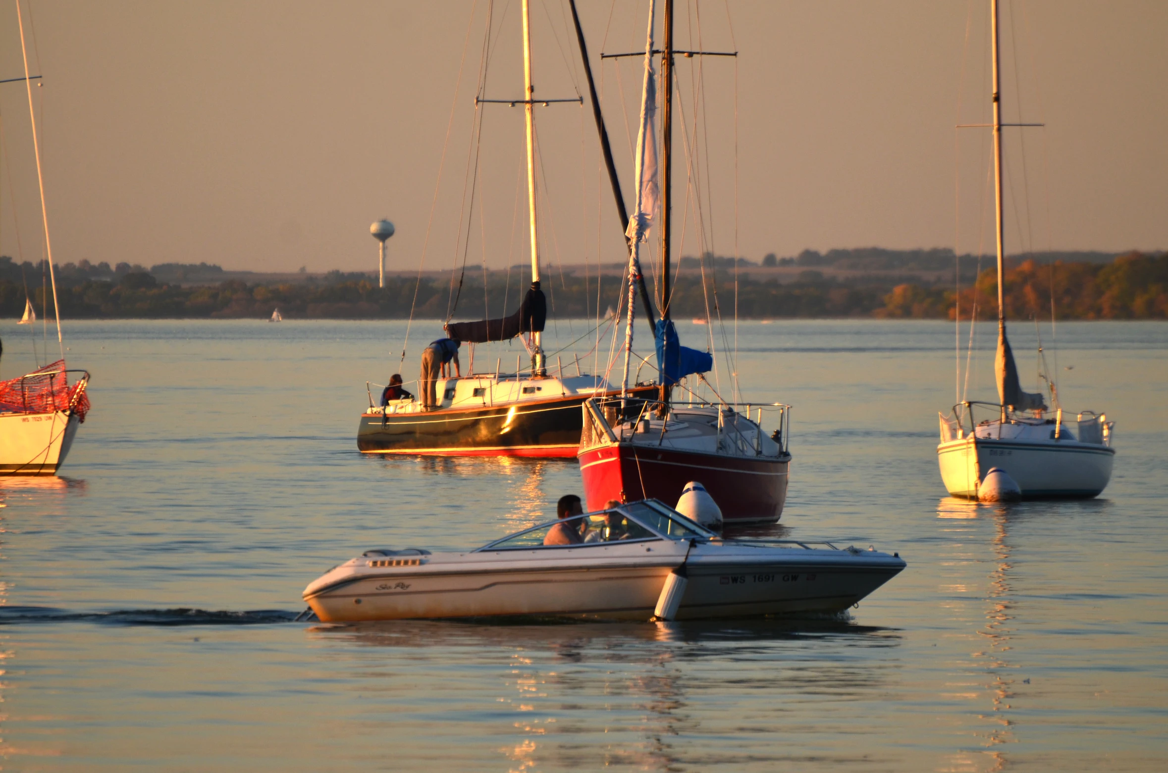 a number of sailboats floating in the water near shore