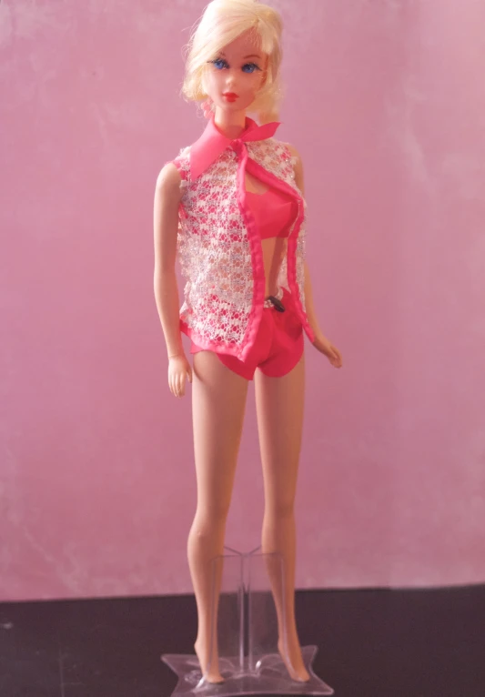 a barbie doll with a nice shirt and shorts