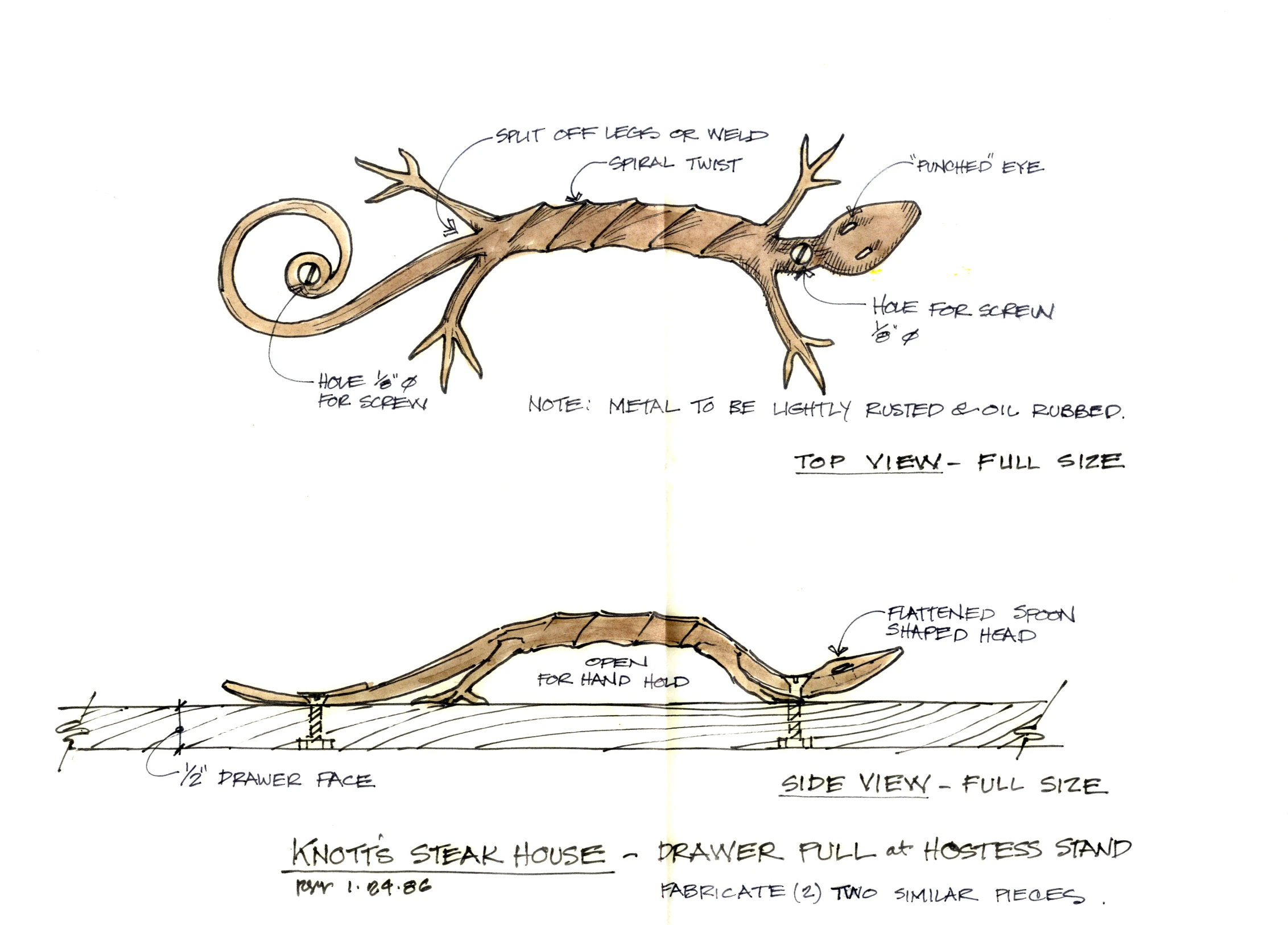 diagram of the external body and external head