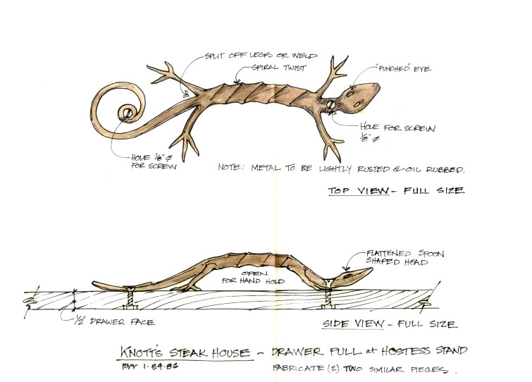 diagram of the external body and external head