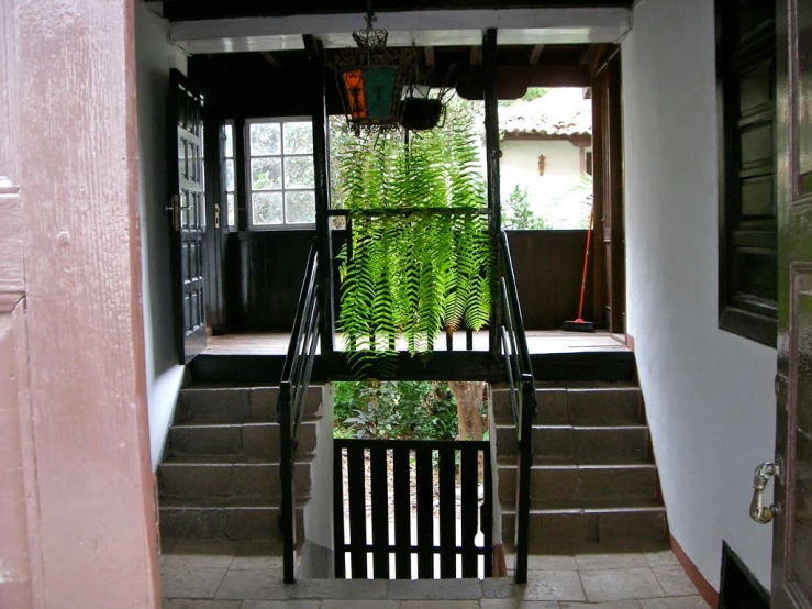 the stairway is made out of metal and has a small plant