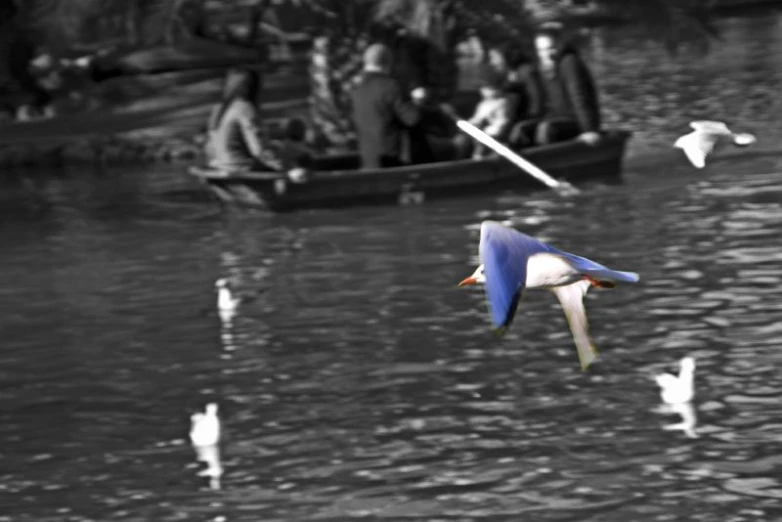 a black and white po of people in a boat, in the water, with birds flying around