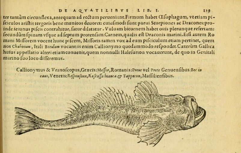 the front page of a book with some fish