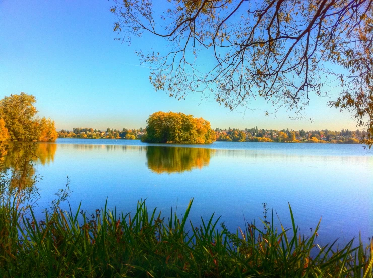 a lake in the middle of an area surrounded by trees