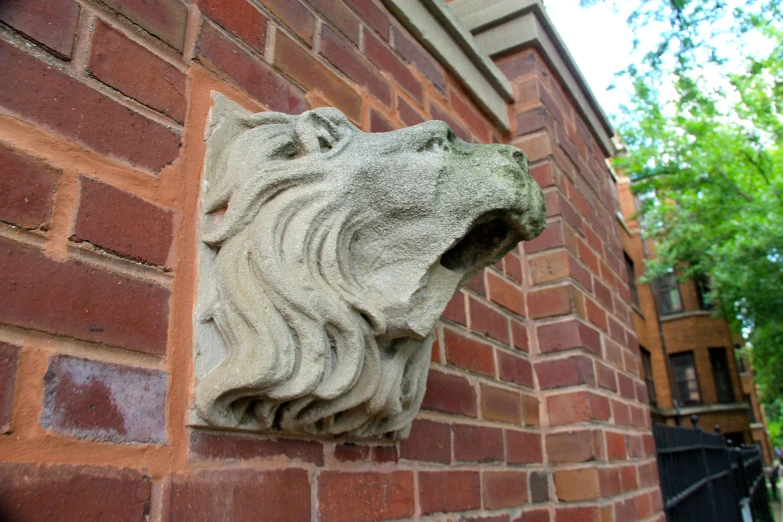 a close up of a lion head on the side of a building