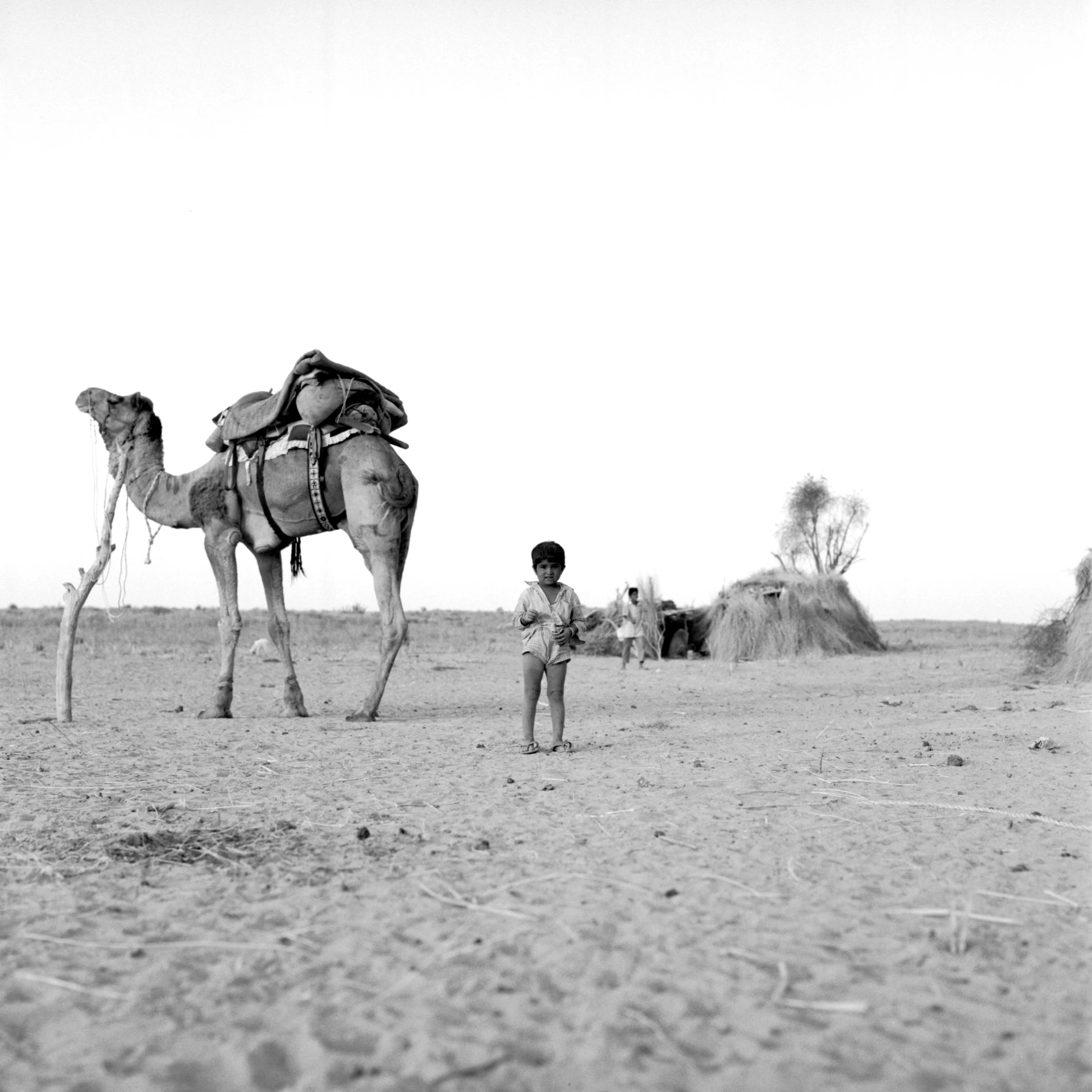 a man standing next to a camel on top of a desert