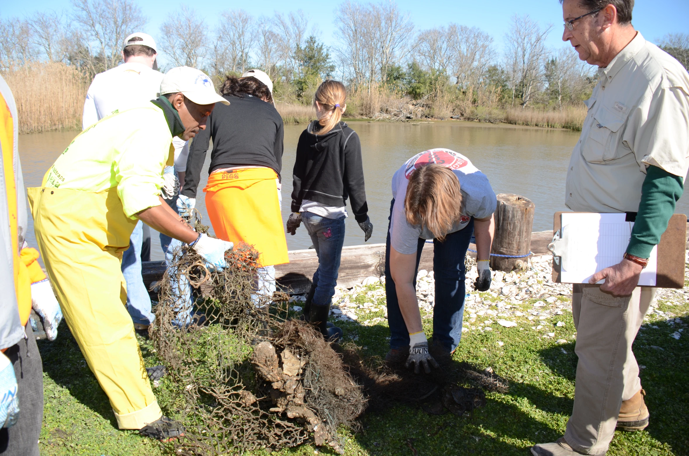 group of people looking at tree roots near waterway