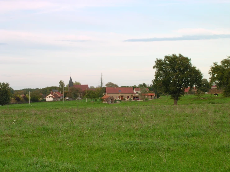 a large green field with buildings and trees
