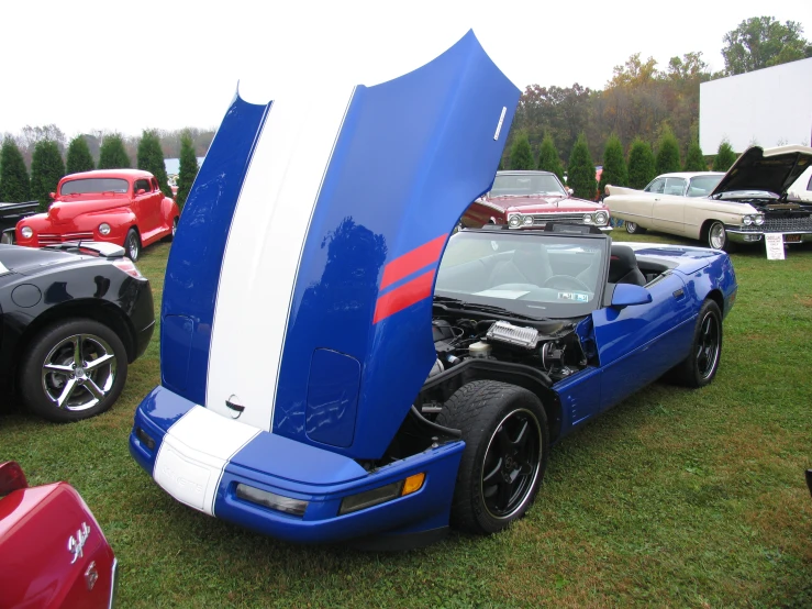 a close up of the hood on a car