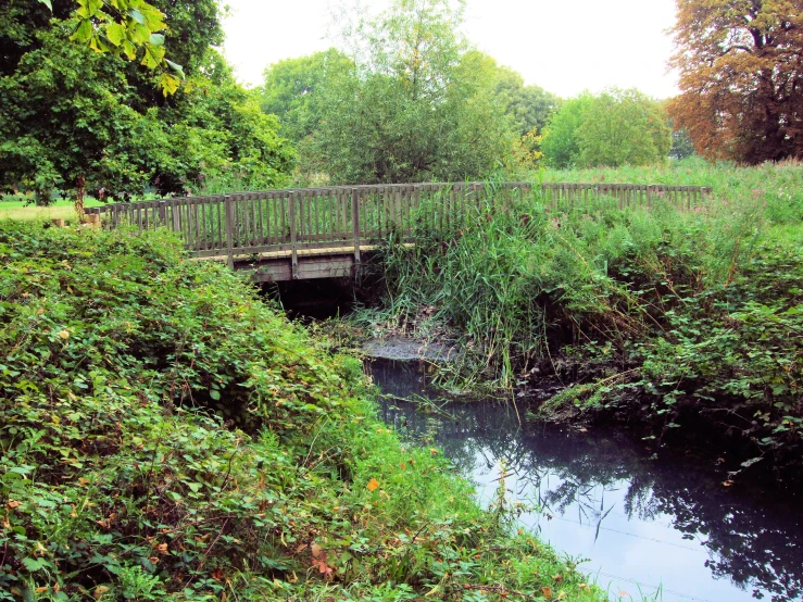 a river running under a bridge surrounded by trees