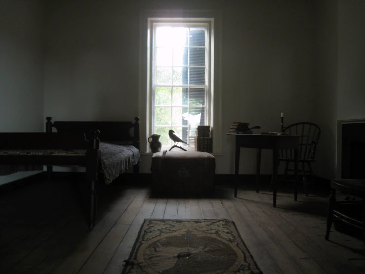 a bedroom that is very dimly lit with birds on the bed