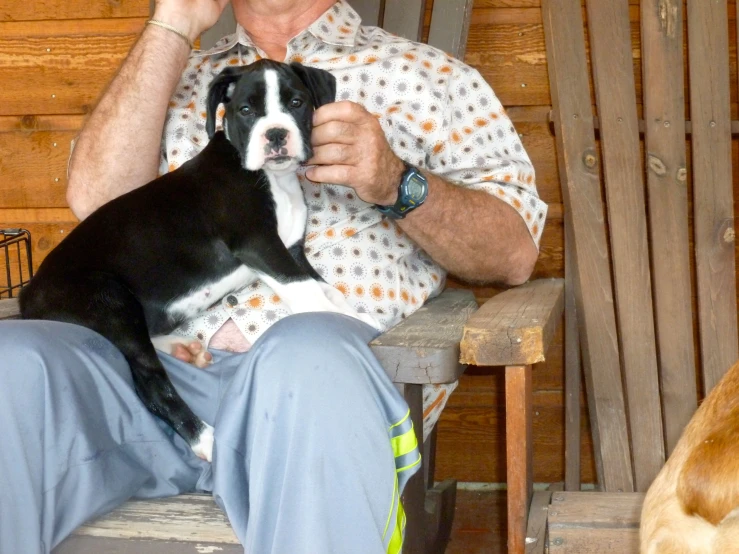 the man sits next to his dog while talking on a phone