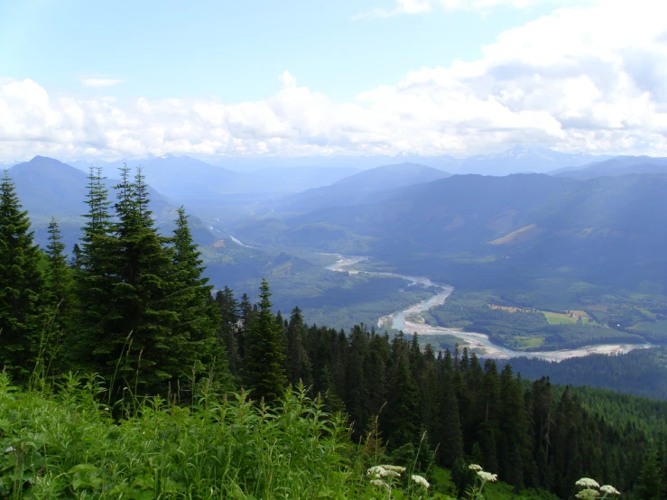 a lush green hillside overlooking a river and valley