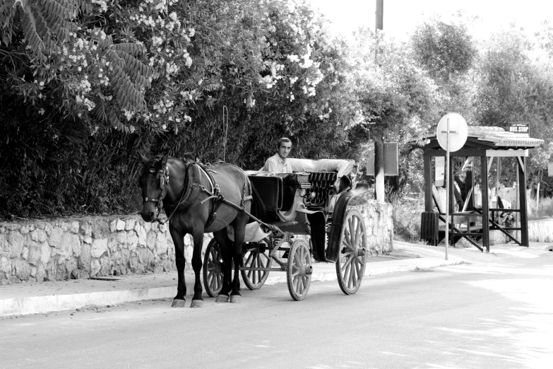 a couple is on a horse and buggy while the man stands by