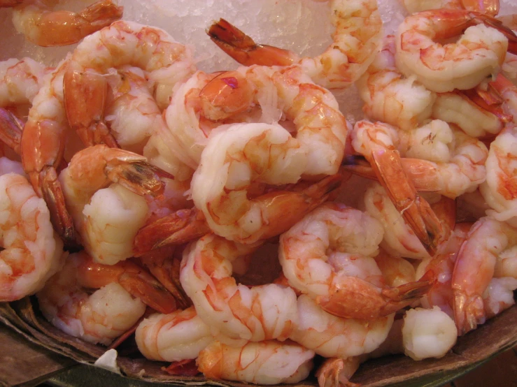cooked shrimp on ice in a frying pan