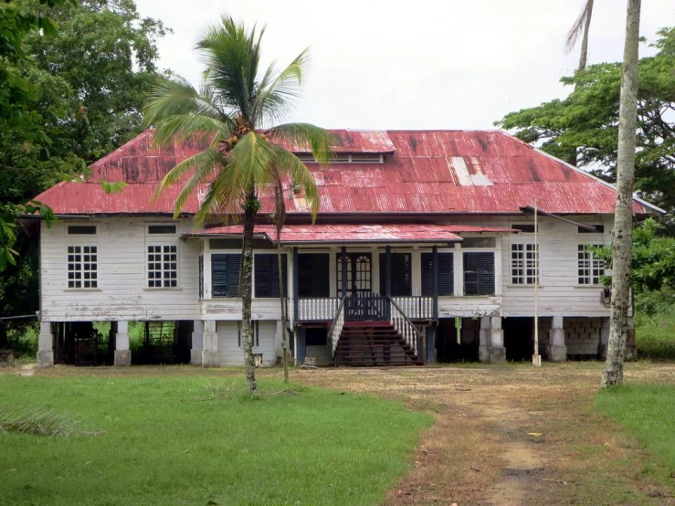 a old dilapidated house sits in the middle of a forest