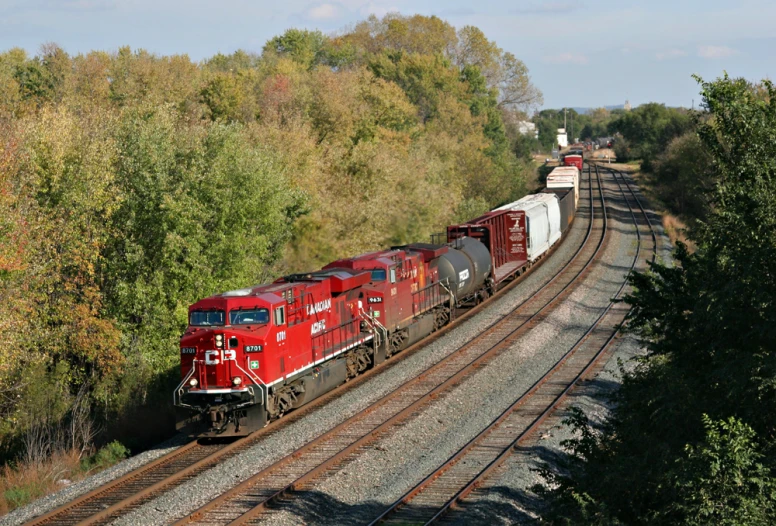 a train passing through some trees on railroad tracks