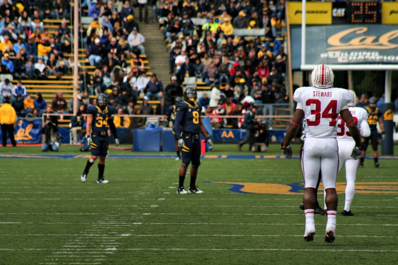 football players are on the field with fans