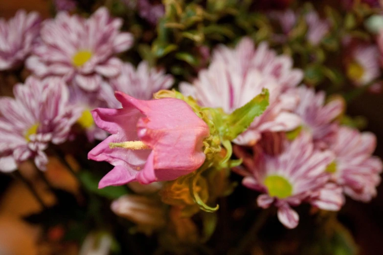 there are pink and white flowers in a glass vase