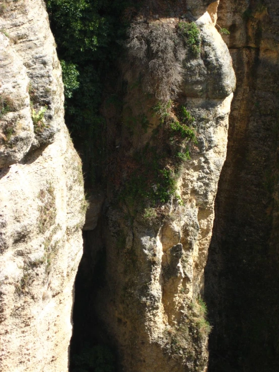 a large cliff covered in green plants next to a large rock