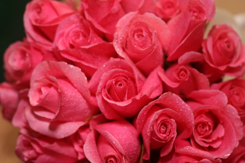 a bunch of pink roses with rain droplets on them