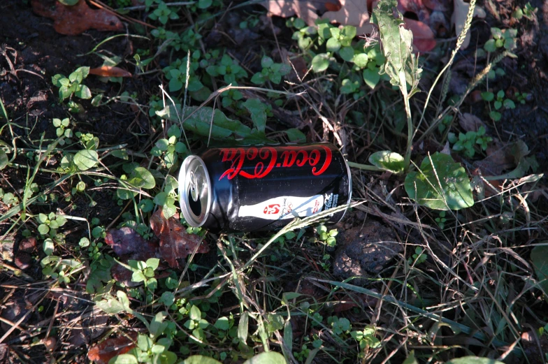 a can of coca cola sitting in the grass
