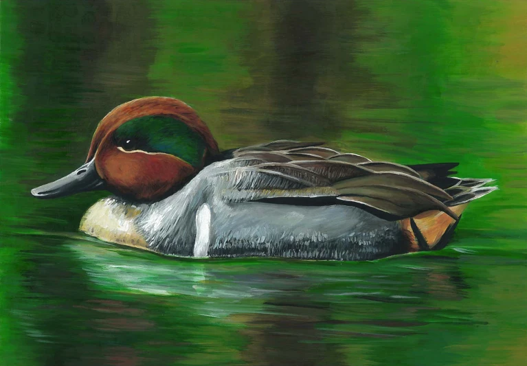 a painting of a brown, black and white duck swimming on the water