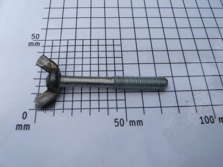 a pair of large, flat head counters sit on a scale with a ruler showing the width