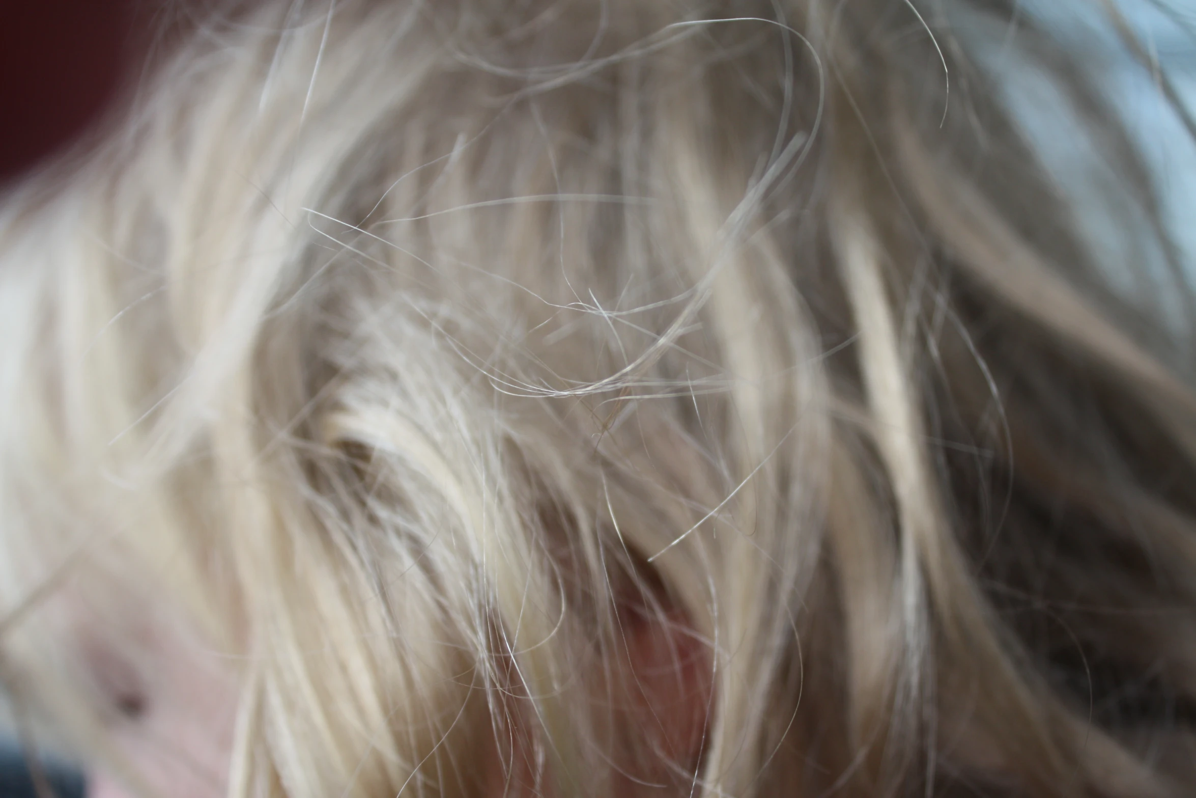 a close up s of a girl's blonde hair