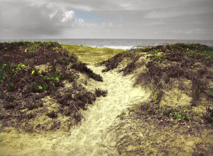 dirt path to the water and grassy area near beach