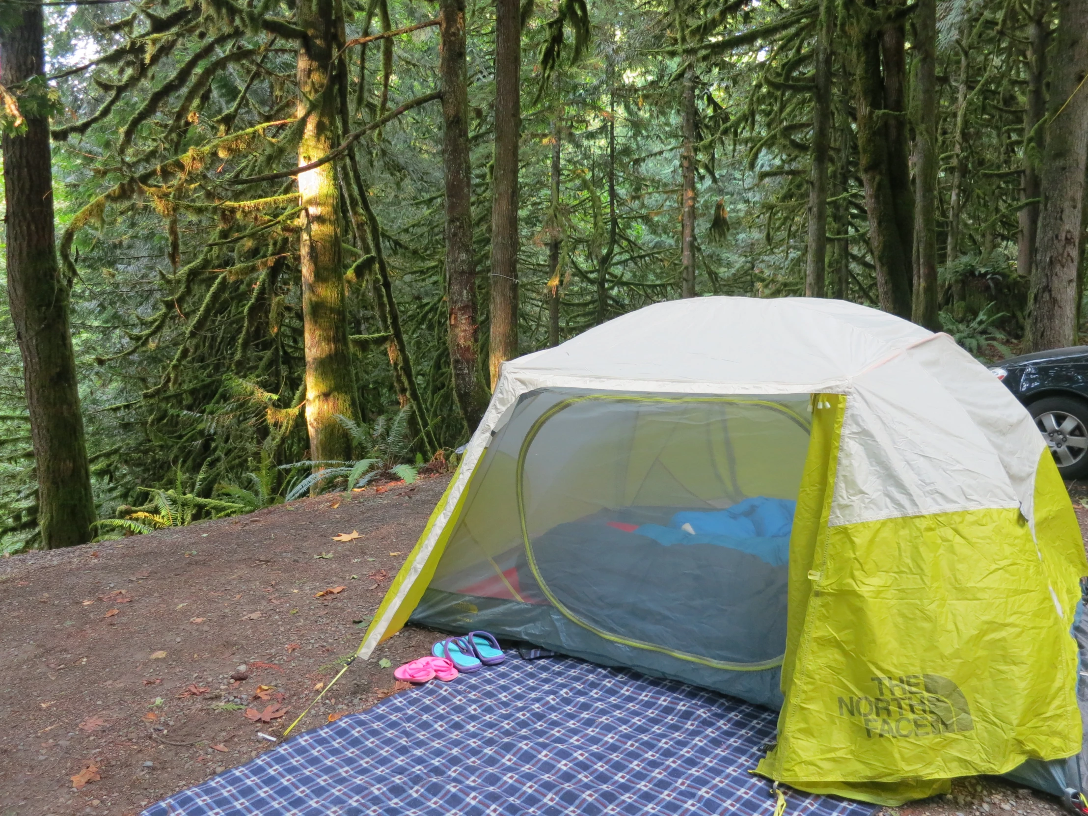 a tent set up in the woods and with the ground next to it