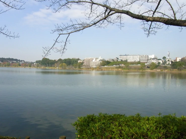 a lake surrounded by many trees and buildings