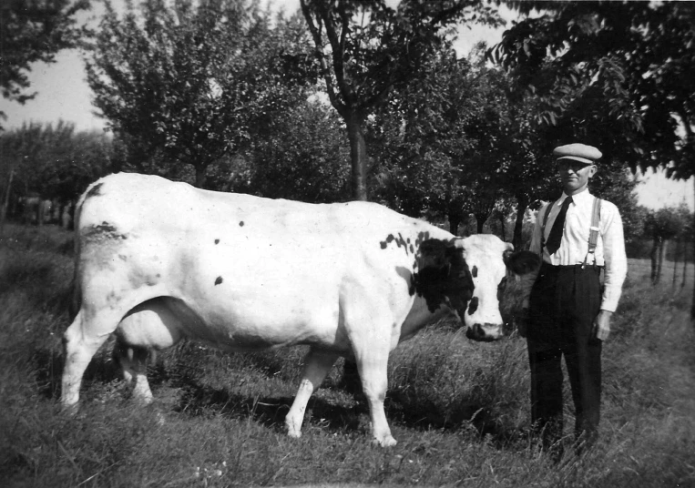 a man standing next to a cow in a field