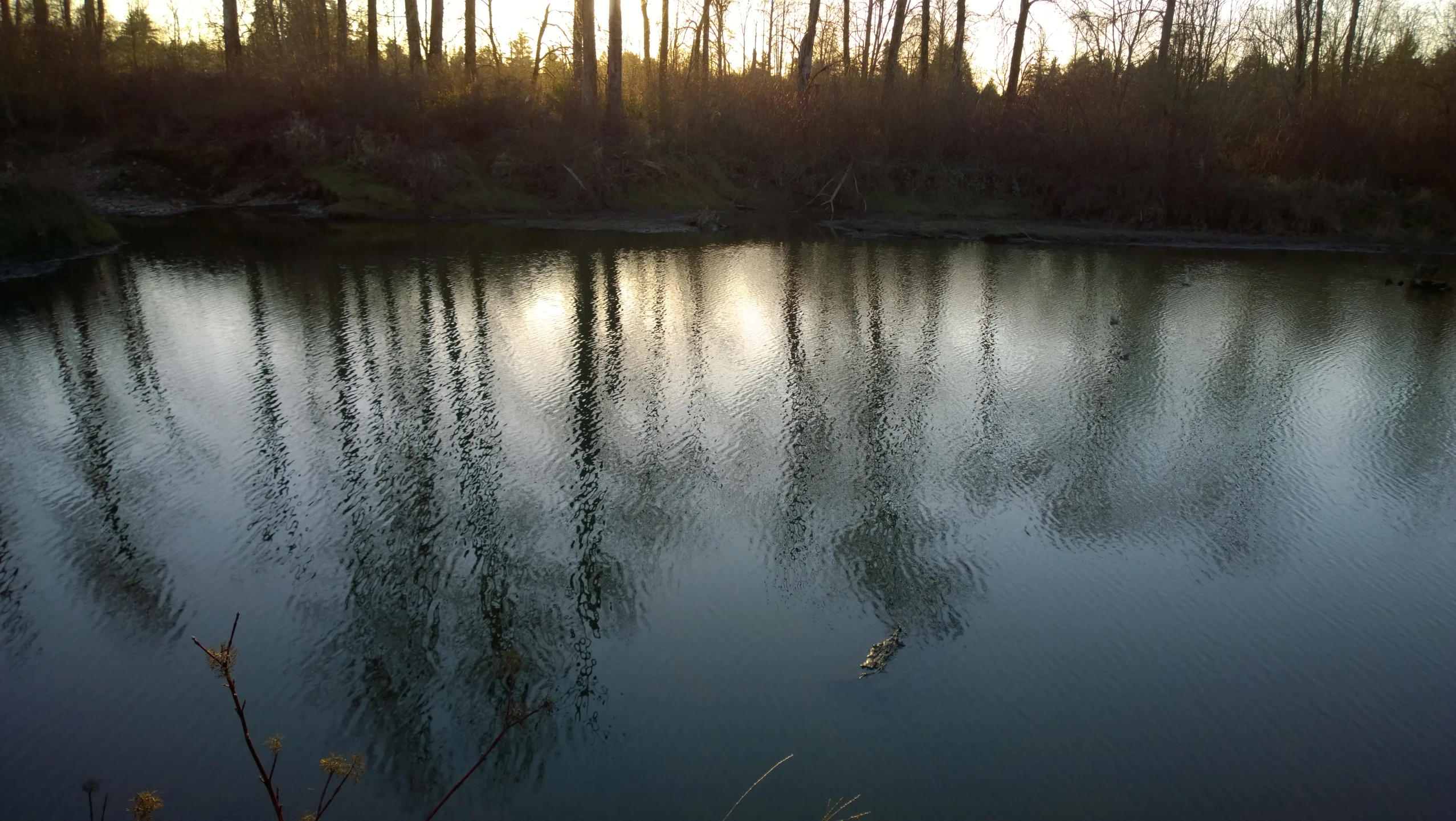 a body of water surrounded by forest in the sunset